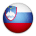 Slovenian flag - iconfinder